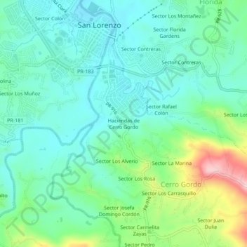 Mapa topográfico Haciendas de Cerro Gordo, altitud, relieve